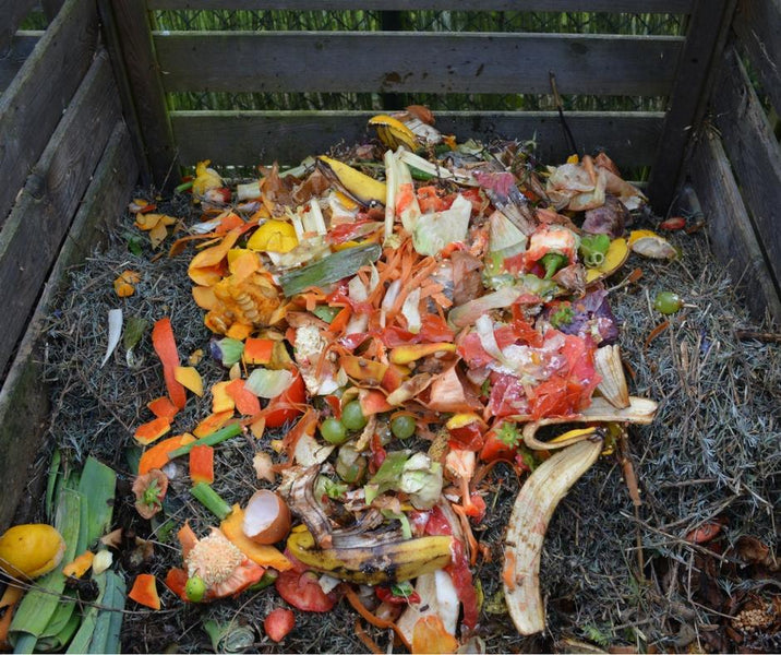 Why you should compost! International Compost Awareness Week