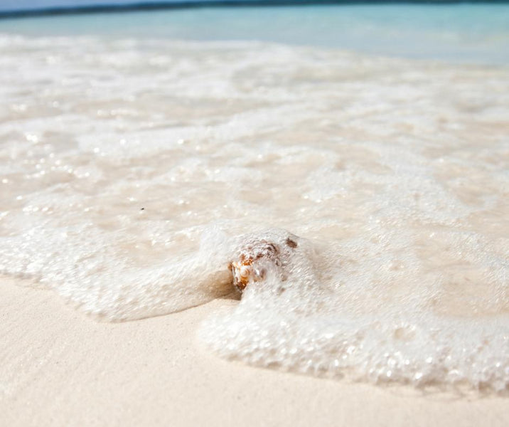 5 Ways to Celebrate World Oceans Day