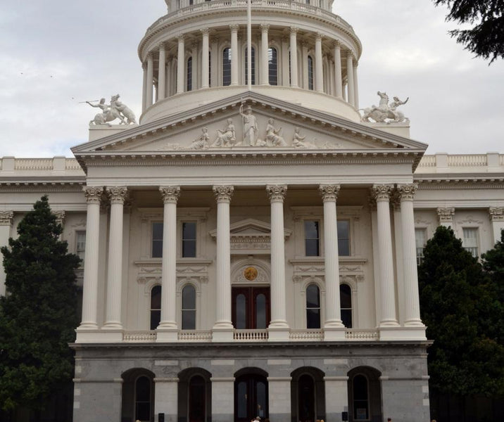 5 Tips for Becoming Politically Active