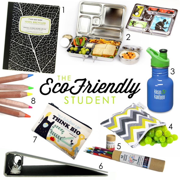 Eco Friendly School Supplies and Plastic-Free Lunches