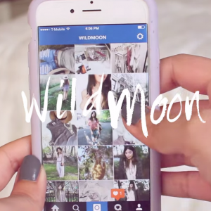 Pela Case Lavender iPhone 6 in YouTuber Wildmoon’s video