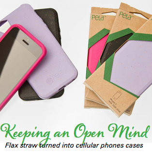 Pela Case featured in STEP’s Global Ventures Publication